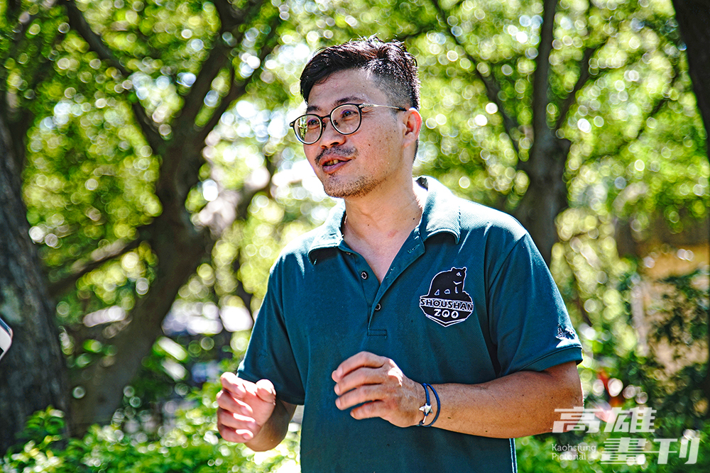 斑馬、羊駝爸爸劉家宏在壽山動物園工作10多年了，笑說自己很享受和牠們相處的時光。(攝影/曾信耀)