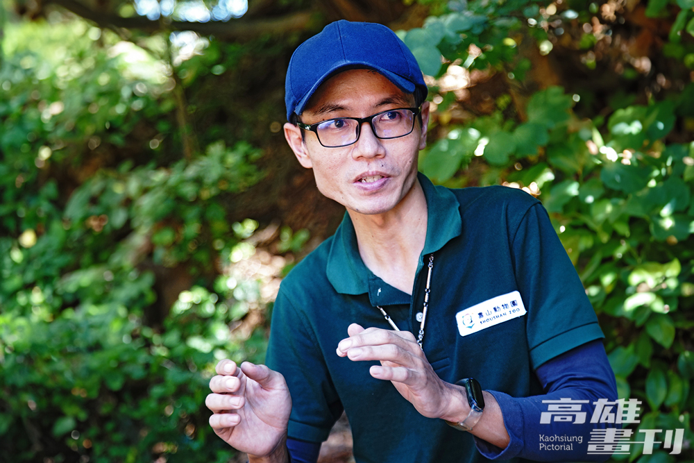 李宥逸透露剛開始照顧非洲獅群，不能被這群孩子突然吼出的聲音嚇到，否則牠們就會覺得你是可以被欺負的。(攝影/曾信耀)