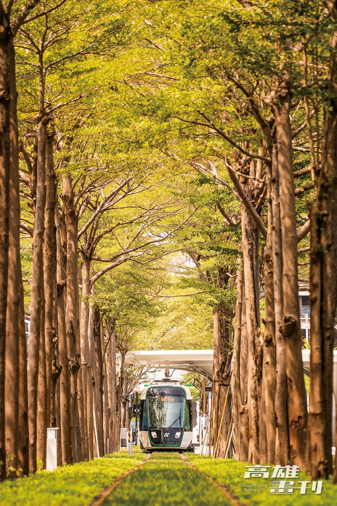 Photo by Huang Jing-wun
