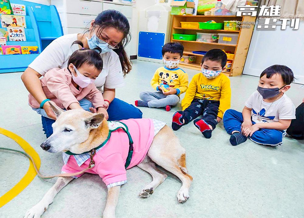 於三民區兒童早期療育發展中心日托班，孩子與治療犬互動學習友善尊重。(攝影/李瑰嫻) 
