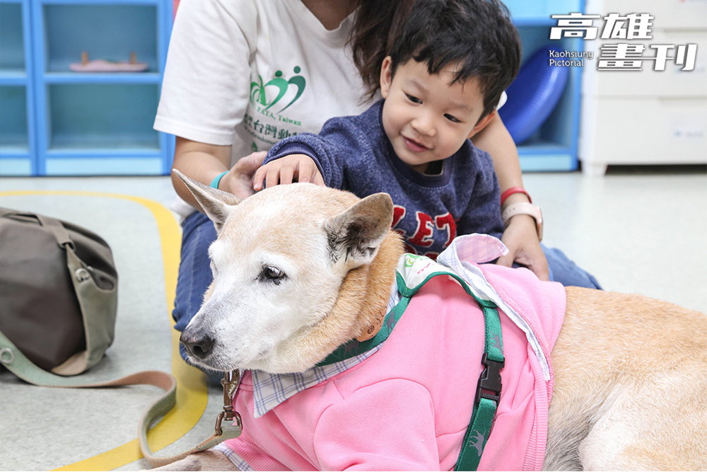 和治療犬互動，除了有助於安撫情緒，也讓孩子練習透過肢體表達，學習互相尊重。(攝影/李瑰嫻) 