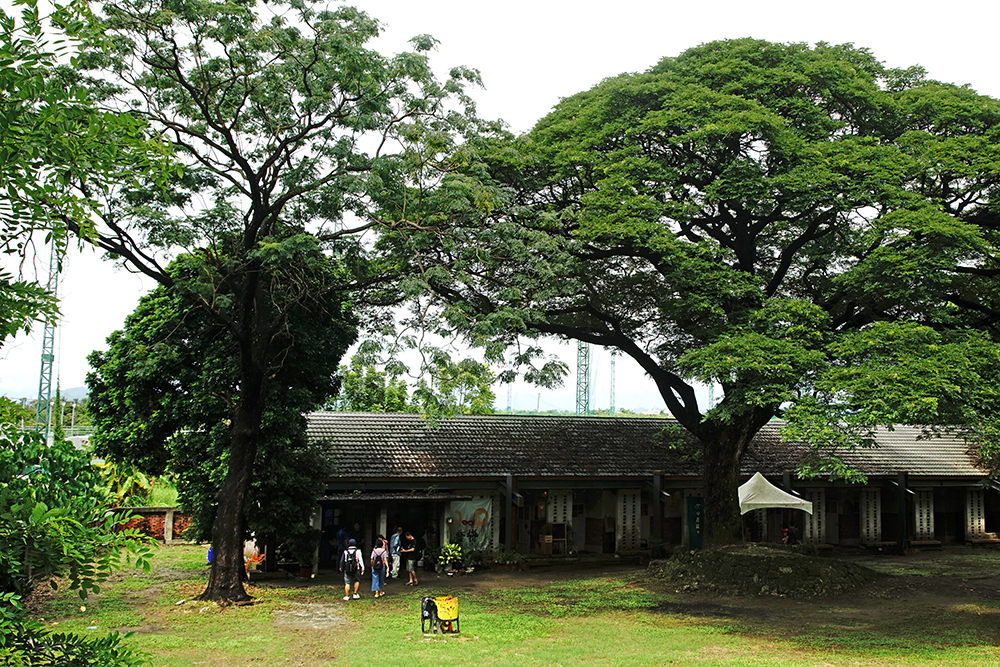 糖廠舊建築、老樹林，空間活化成為時光打造的藝術村。