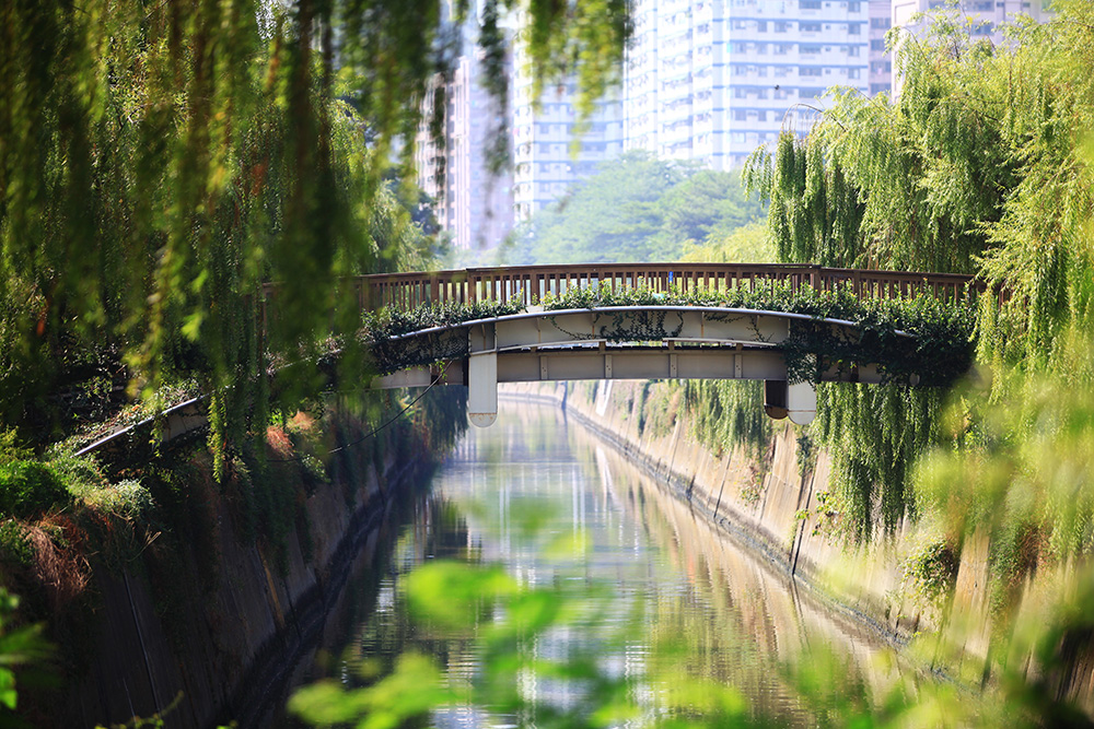 岡山河堤公園。