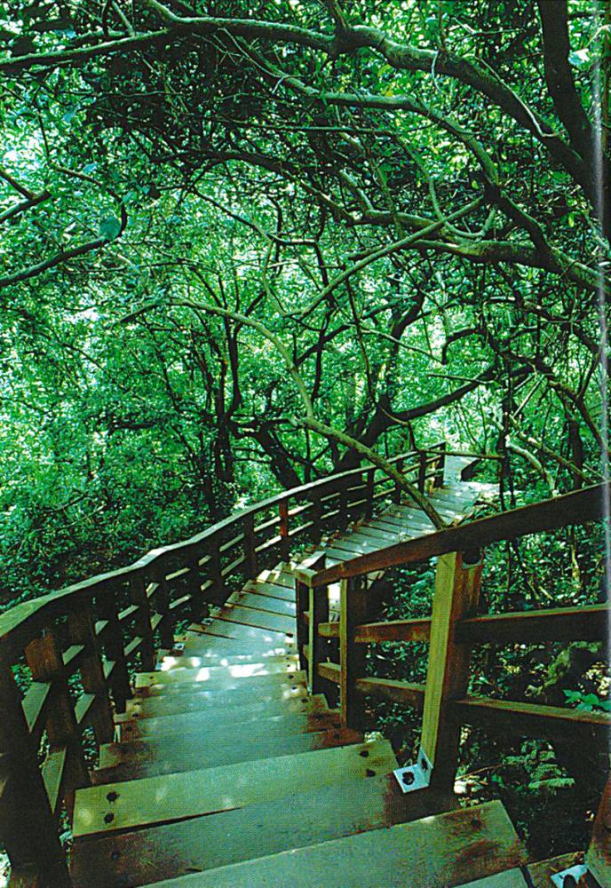 龜山步道。(照片提供／串門文化)