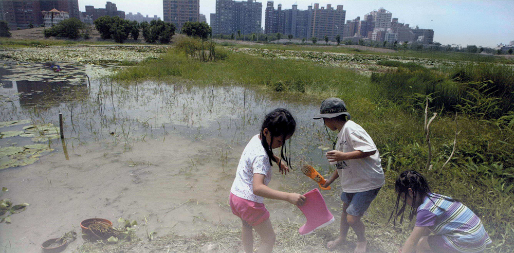 高雄綠色心臟