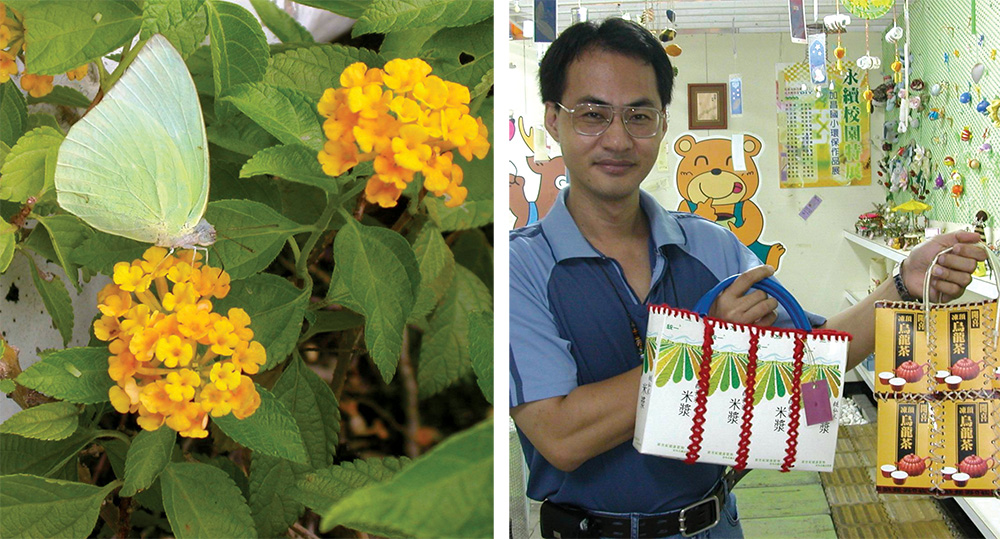 （左圖）蝴蝶已是加昌國小校園中常見的嬌客。（右圖）加昌國小教務主任歐哲華展示學校愛心媽媽以回收的飲料盒所做購物袋。