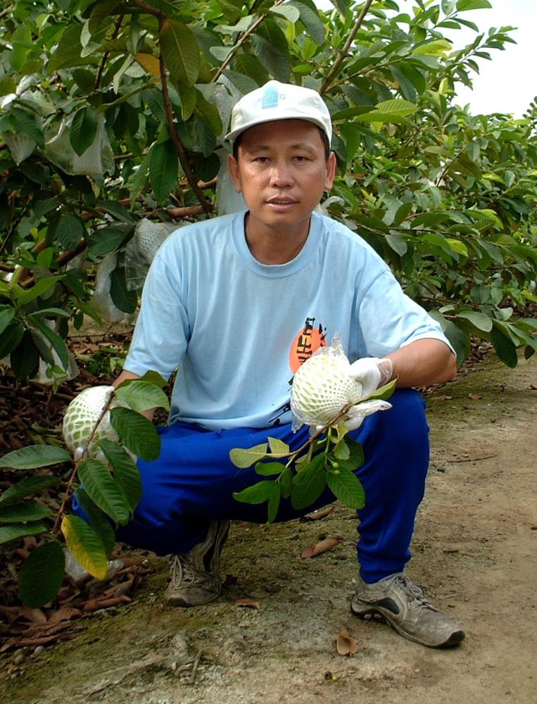 蔡國顯