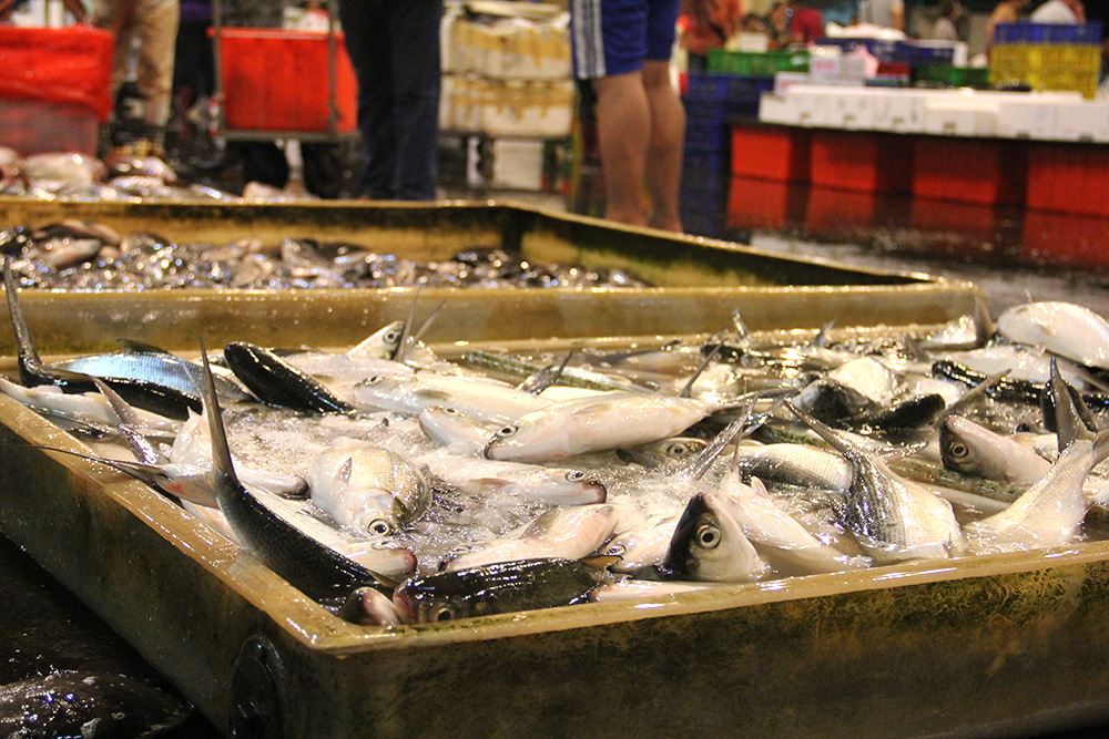 虱目魚是台灣人餐桌上常見的料理。