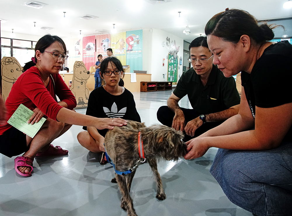燕巢動物保護關愛園區是全臺唯一符合動保教育及動物五大自由的流浪動物收容場域。