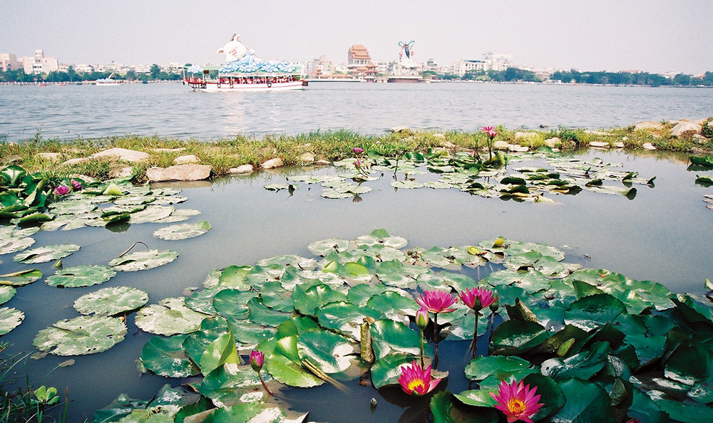 Strolling around boardwalk around Lotus Lake, people can enjoy seeing the lotus blooming in the water.