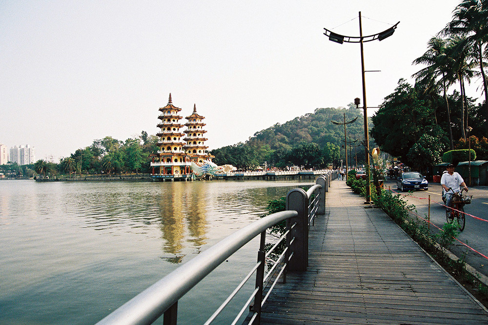 Lotus Pond