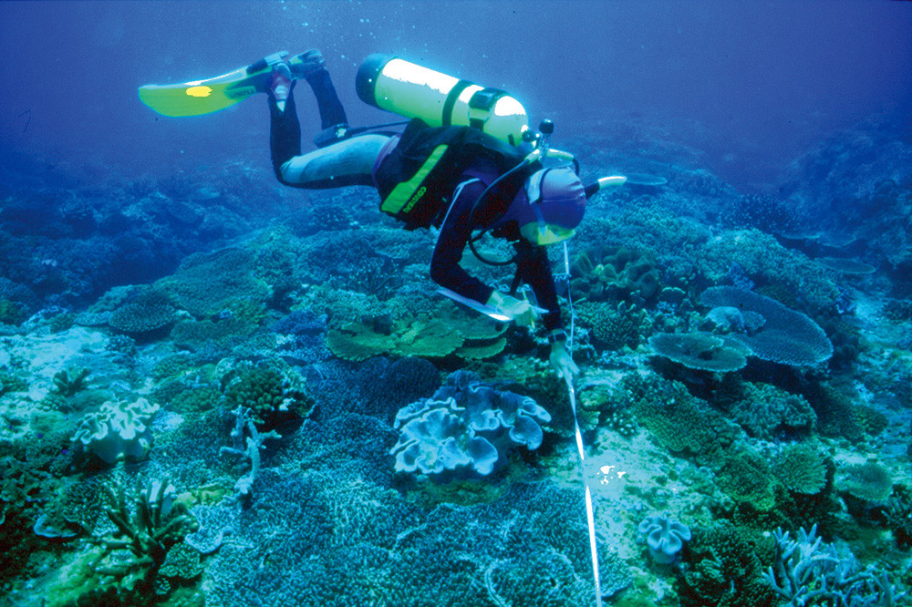 Located 400 miles southwest of Kaohsiung, Dongsha Atoll National Park is situated on Dongsha Island; as the only well-developed large-scale atoll in the area, it features an independent coral ecosystem.