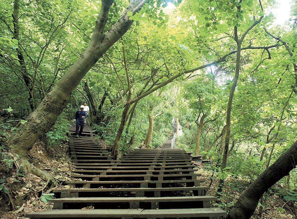 Chaishan abounds lush forest physiognomy and ecosystem.