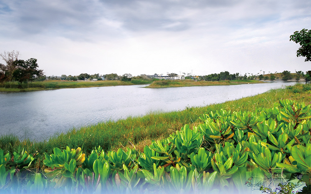 Yuanjhong Harbor Wetland