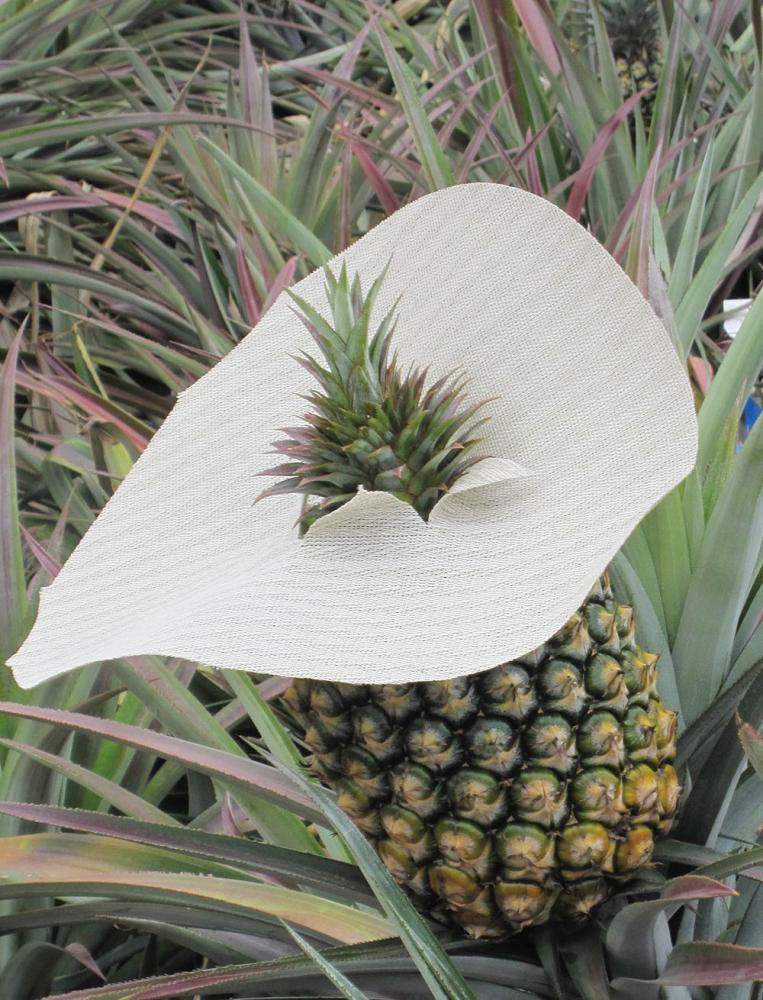 \"Straw hats\" protect the pineapples from cracking in the sun.