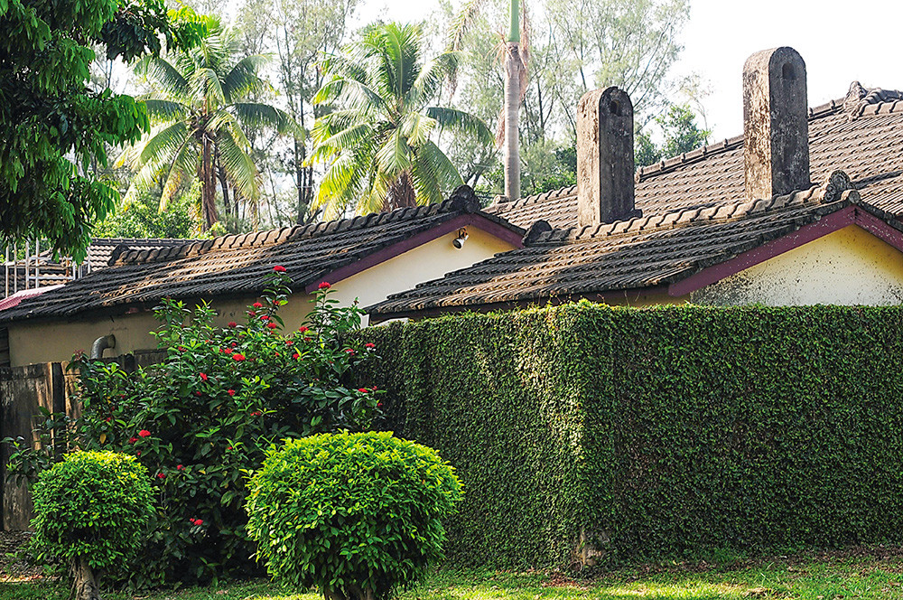 The Past and Future of Kaohsiung\'s Veteran\'s Villages
