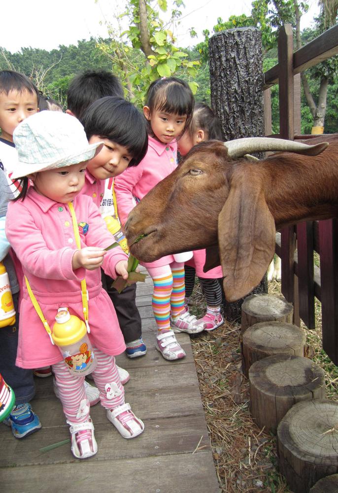 Visitors enjoying the petting zoo