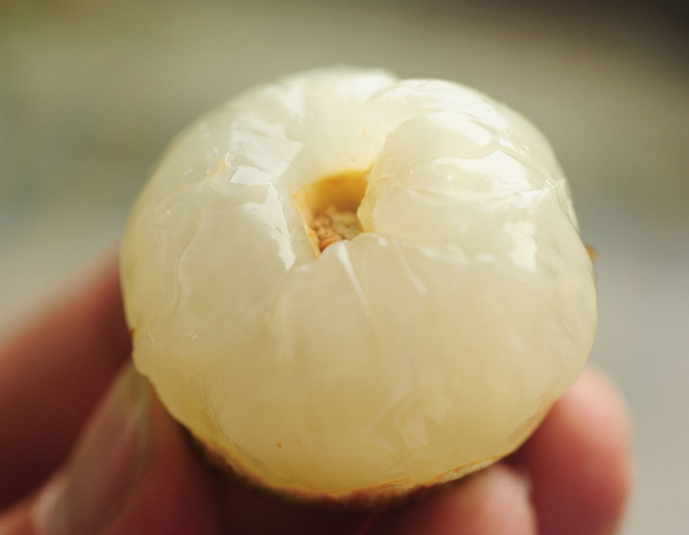 Yuherbau Litchis