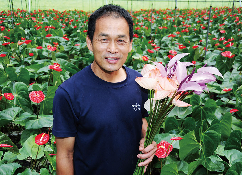 Li Ji-lai\'s flower farm