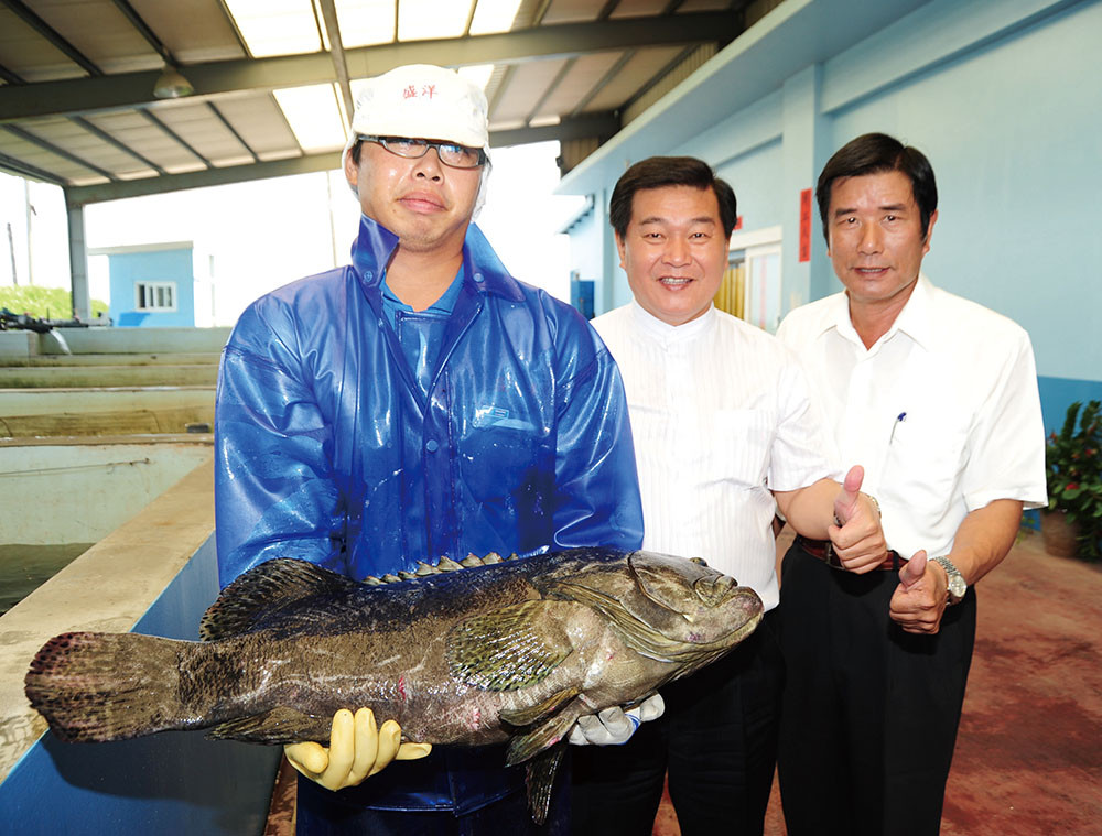 Chief of Yongan District Huang Shun-yi(middle) and General Mangager of Sun Yong Frozen Food Su Kao-tai (right) with giant grouper