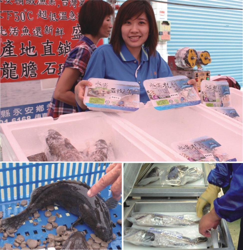 2010永安石斑魚節