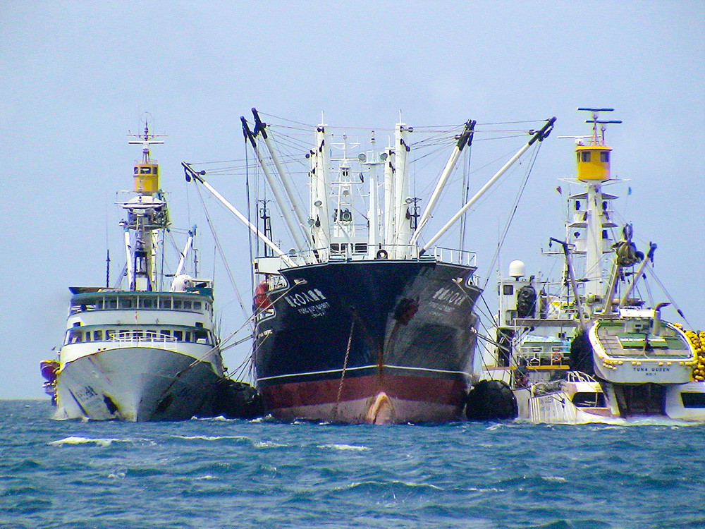 Transshipment