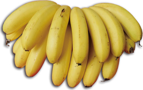The Incredible Flavor of Cishan Bananas