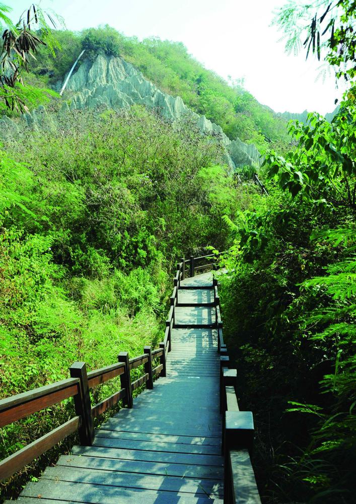 Ta-di Mountain offers hiking trails and a vast range of vegetation indigenous to Taiwan.