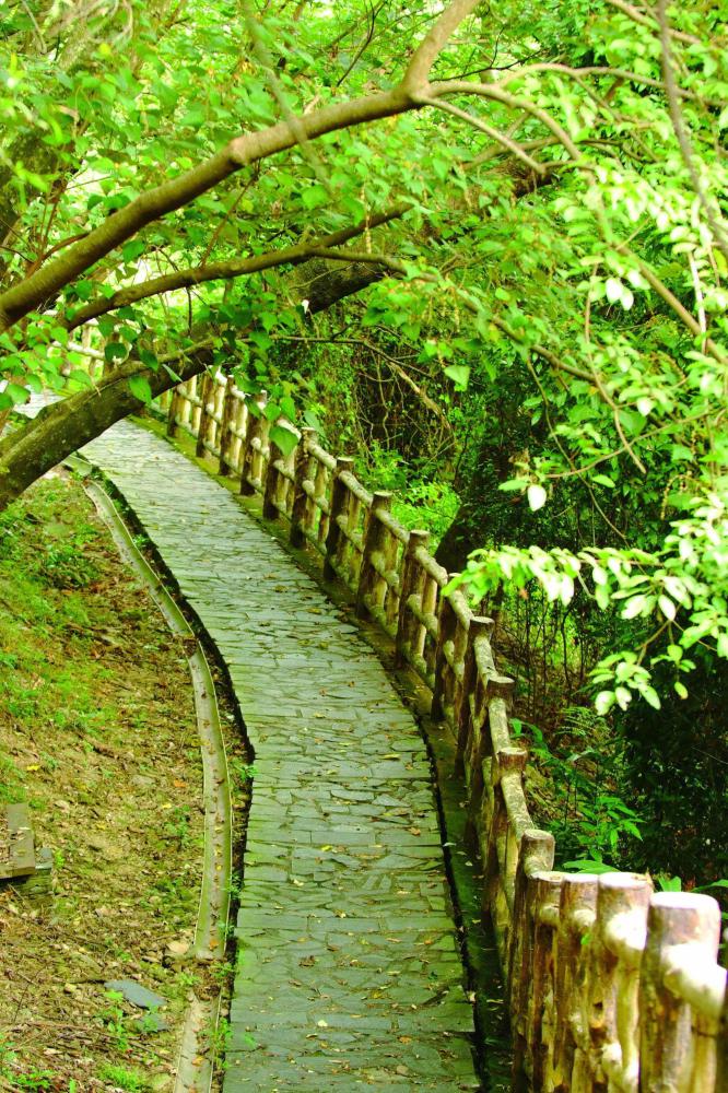 Lush green walking paths