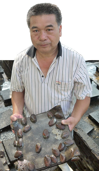 Linyuan\'s Mini-Abalone Expert: Lin Sheng-mo