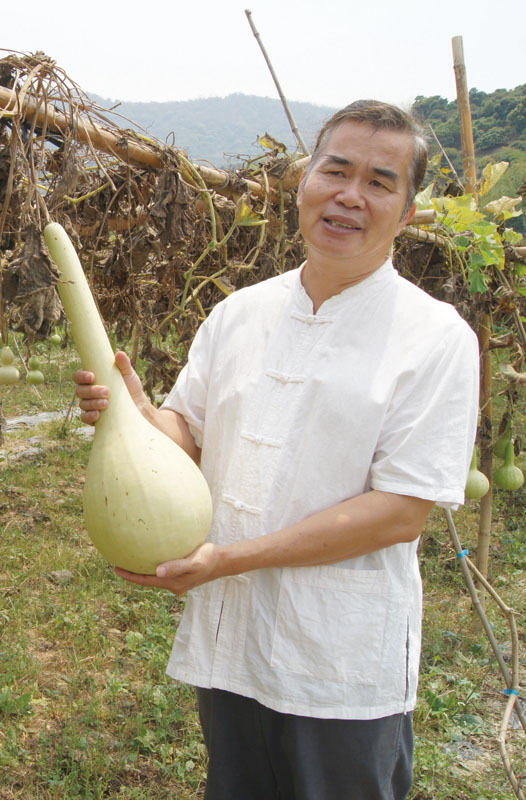 Gourd Craft In Shanlin District