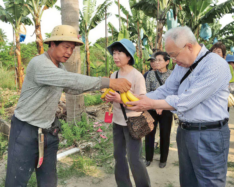 Tourists getting the opportunity to sample the bananas