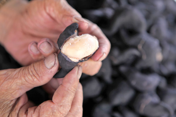 Boiling trapas give them a soft, starchy taste.