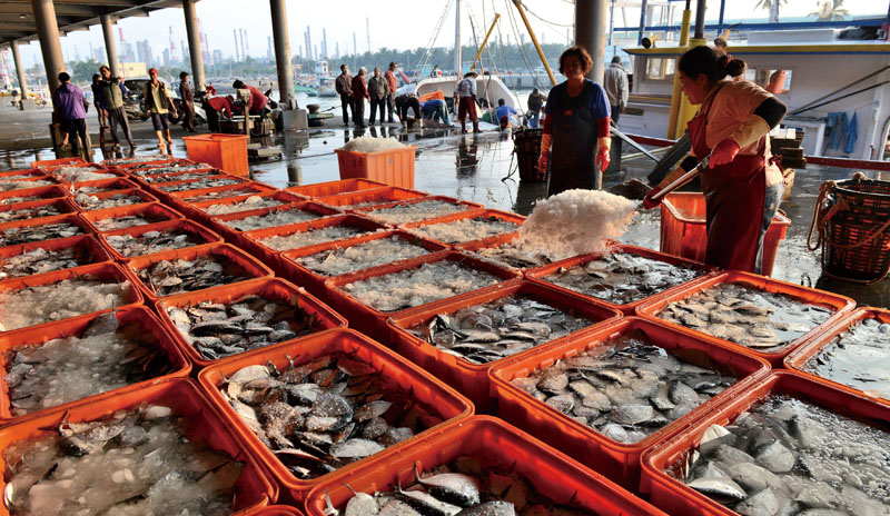 In winter, catches of moon fish are typically abundant.