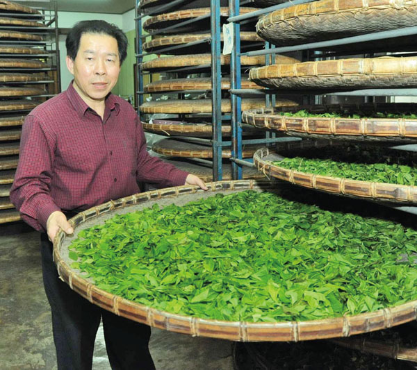 第一次發酵去除茶青的水份