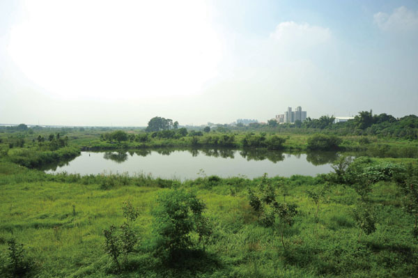 The view south takes in the 120-hectare wetland park.