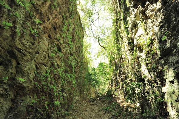 盤龍峽谷 Panlong Gorge