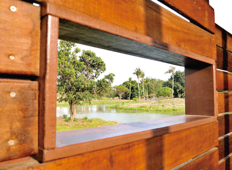 透過觀察窗觀賞蟲鳥生態 Holes designed for watching the park\'s wildlife