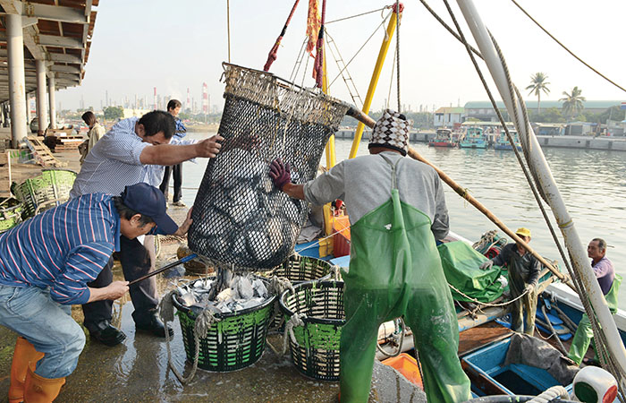 林園魚貨種類豐富 Jhongyu Fishing Port\'s multitude of fish