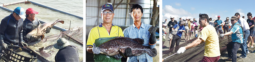 Yongan\'s Singang Fishing Village