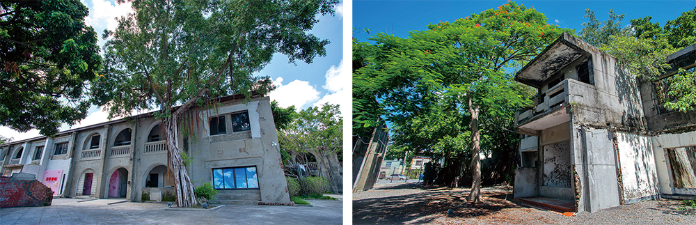 醒村建築物