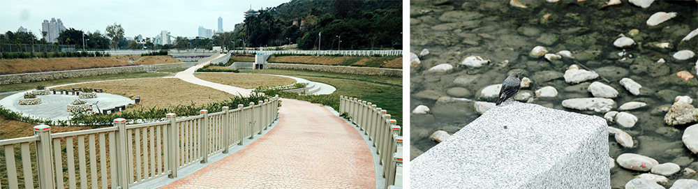 歡迎來柴山滯洪公園散步（攝影／郭宸志）
