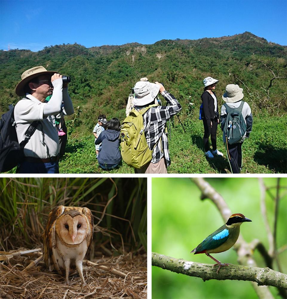 高雄市野鳥學會在每月的第一個週日08：00～12：00，於大洲國中集合，舉辦中寮山例行觀察與解說活動。（照片提供／社團法人高雄市野鳥學會）