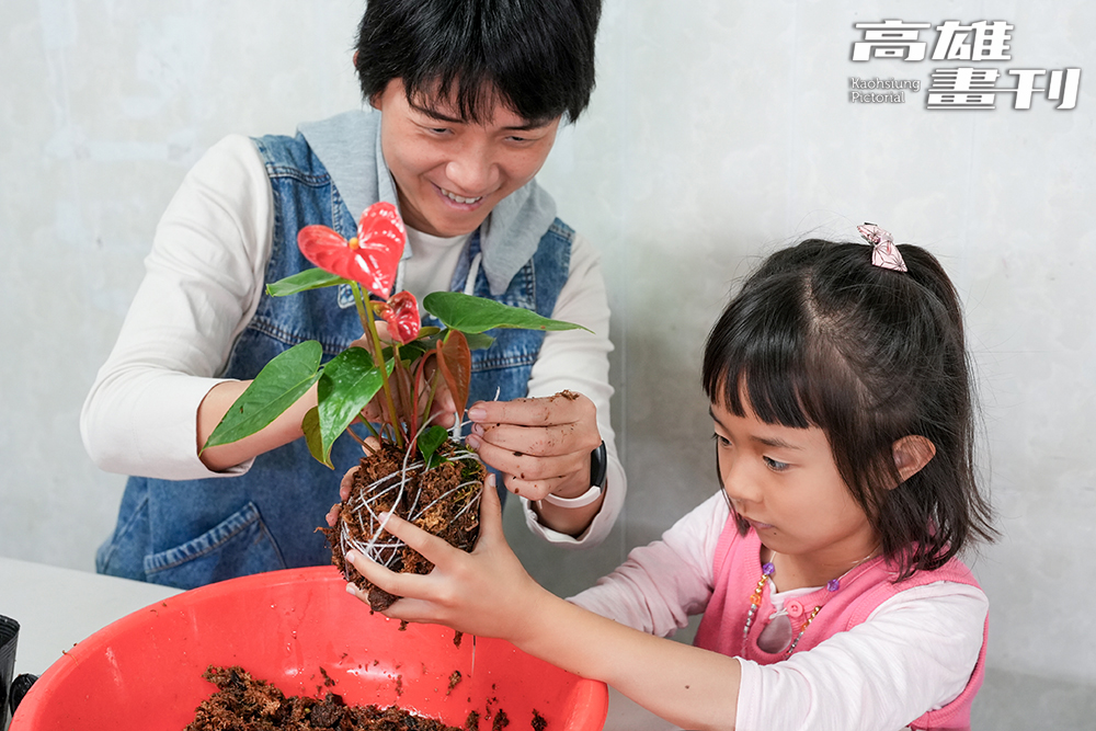 親子一起動手做，綁一顆獨一無二的火鶴花水苔球。(攝影/Cindy Lee)