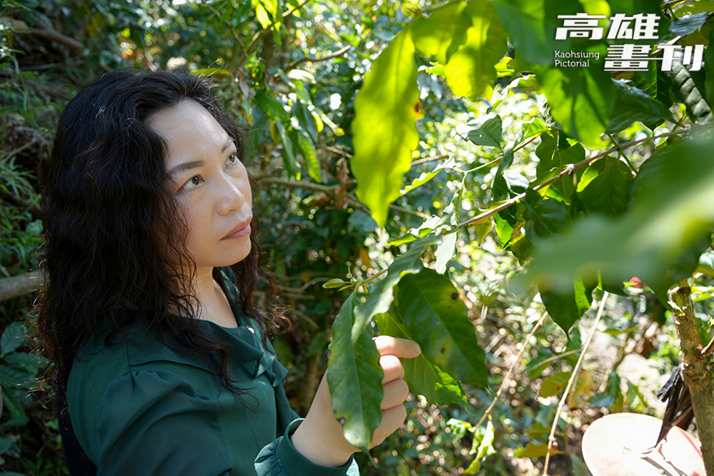 卡爾波農莊的咖啡園以友善環境的方式種植，力慧雯上山巡視時常常看見小動物。(攝影/Cindy Lee)
