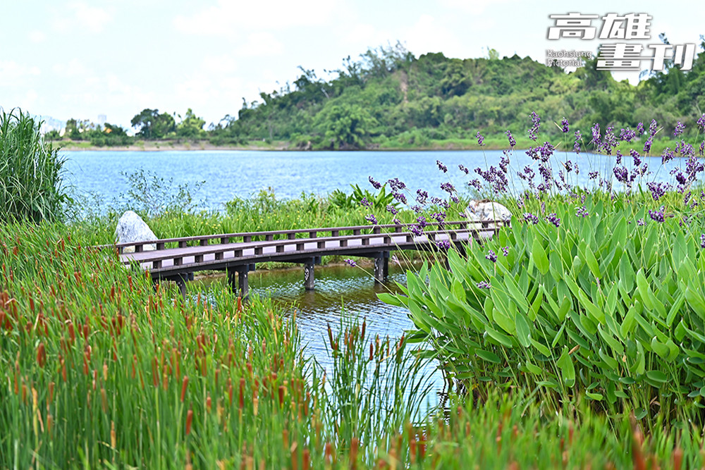 沿著環湖步道緩緩前行，綠意與湖光交織，眼前的景色如詩如畫，令人心曠神怡。(攝影/Carter)