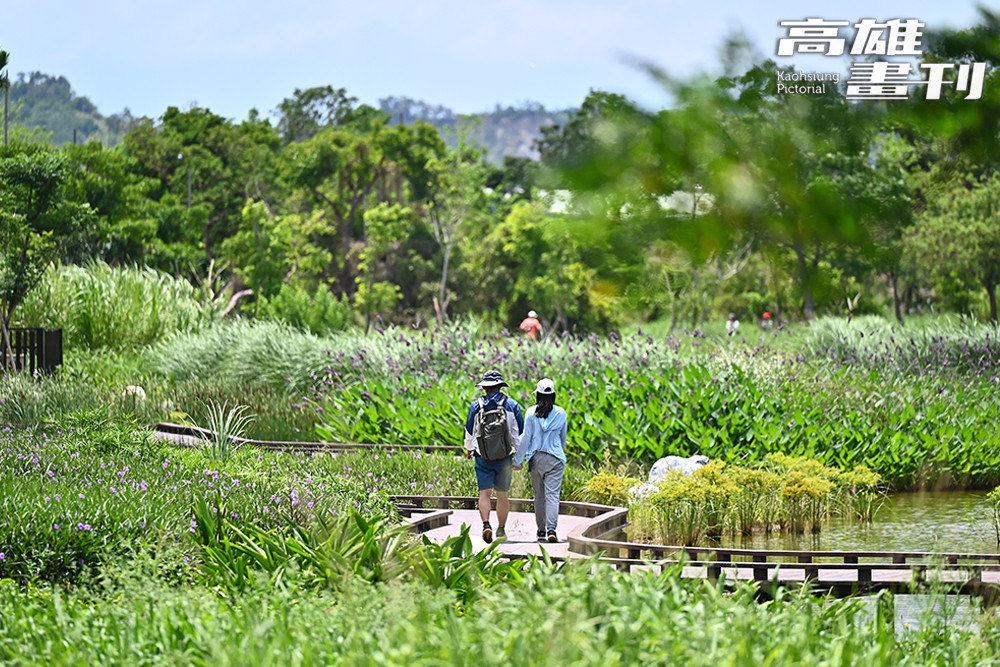 整修後的觀音湖搖身一變，成為兼具遊憩與生態的全新景點。園區內步道系統全面升級，並新設生態廊道，串聯堤頂步道，打造出長約2公里的環湖步道。(攝影/Carter)