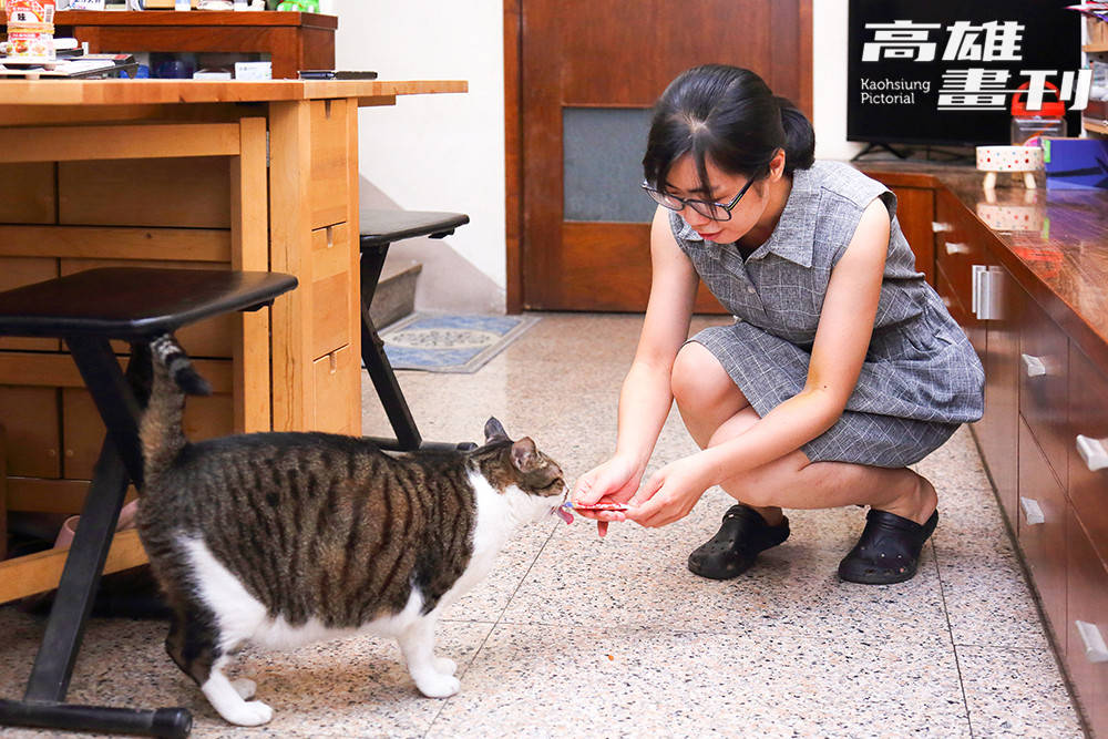 「喵喵窩手作」的名字由來，是從郭雋瑄家裡收養的一對母子貓而來。(攝影/Carter)