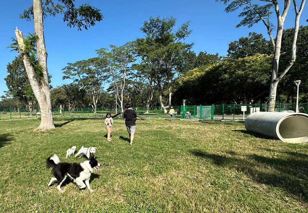 大面積可奔跑的園地，對主人跟毛小孩來說，都相當自在舒適。(圖片提供/高雄市政府工務局公園處)