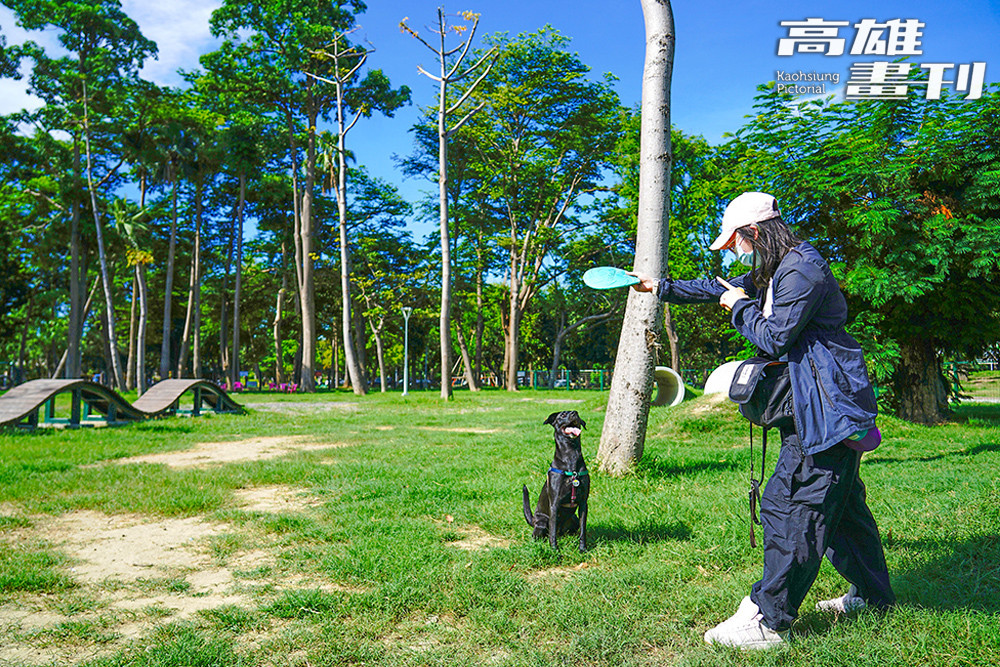 高雄首座寵物活動區中正公園，打造安全分區與多元設施，提供完善的活動空間。(攝影/曾信耀)